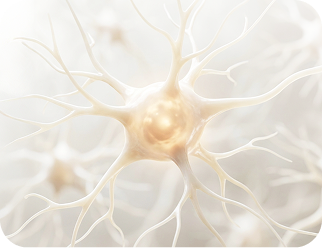 neurones Tesla 1 2