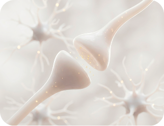 neurones Tesla 1